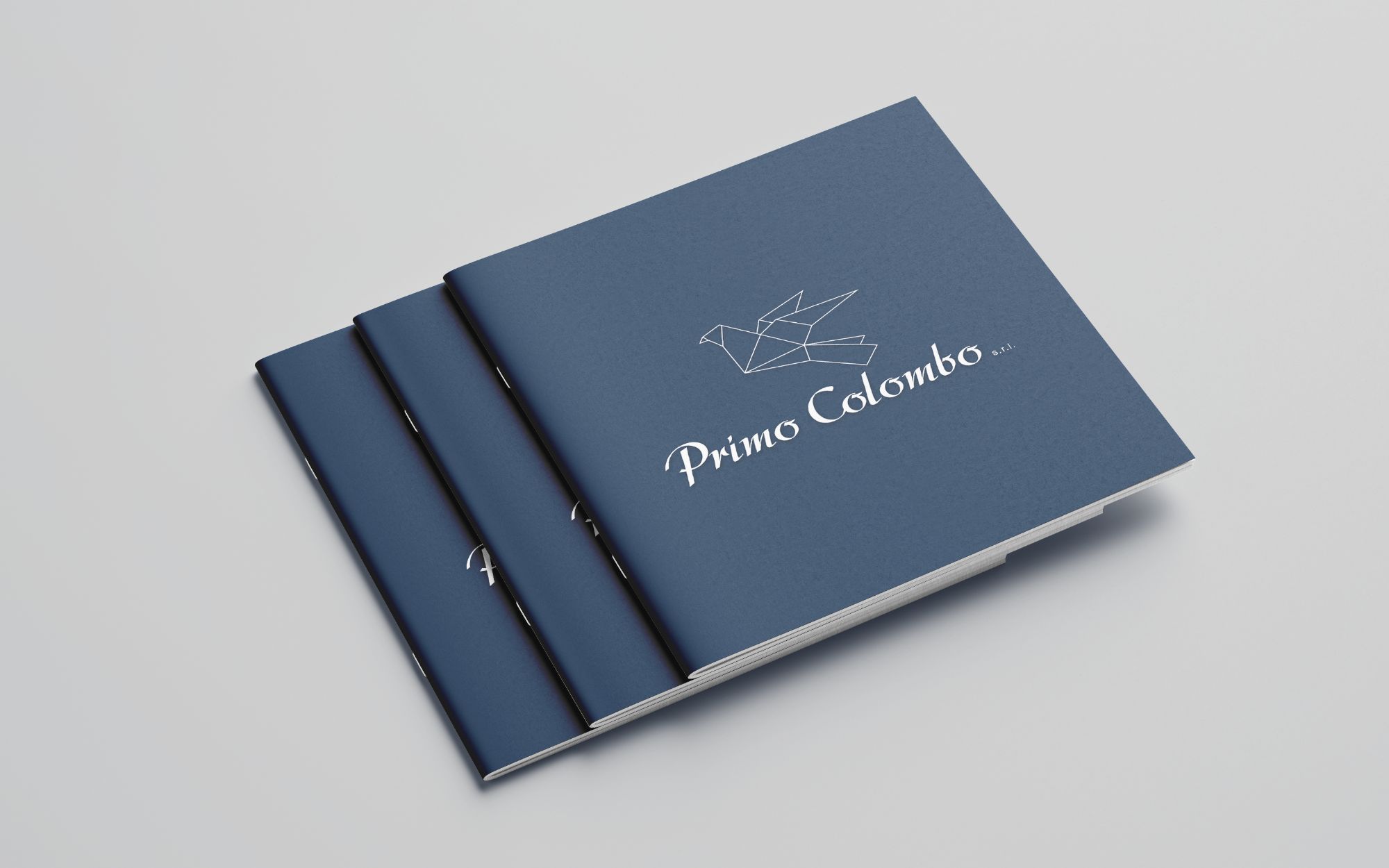 randomlab-progetti-primo-colombo-brochure-istituzionale-copertina