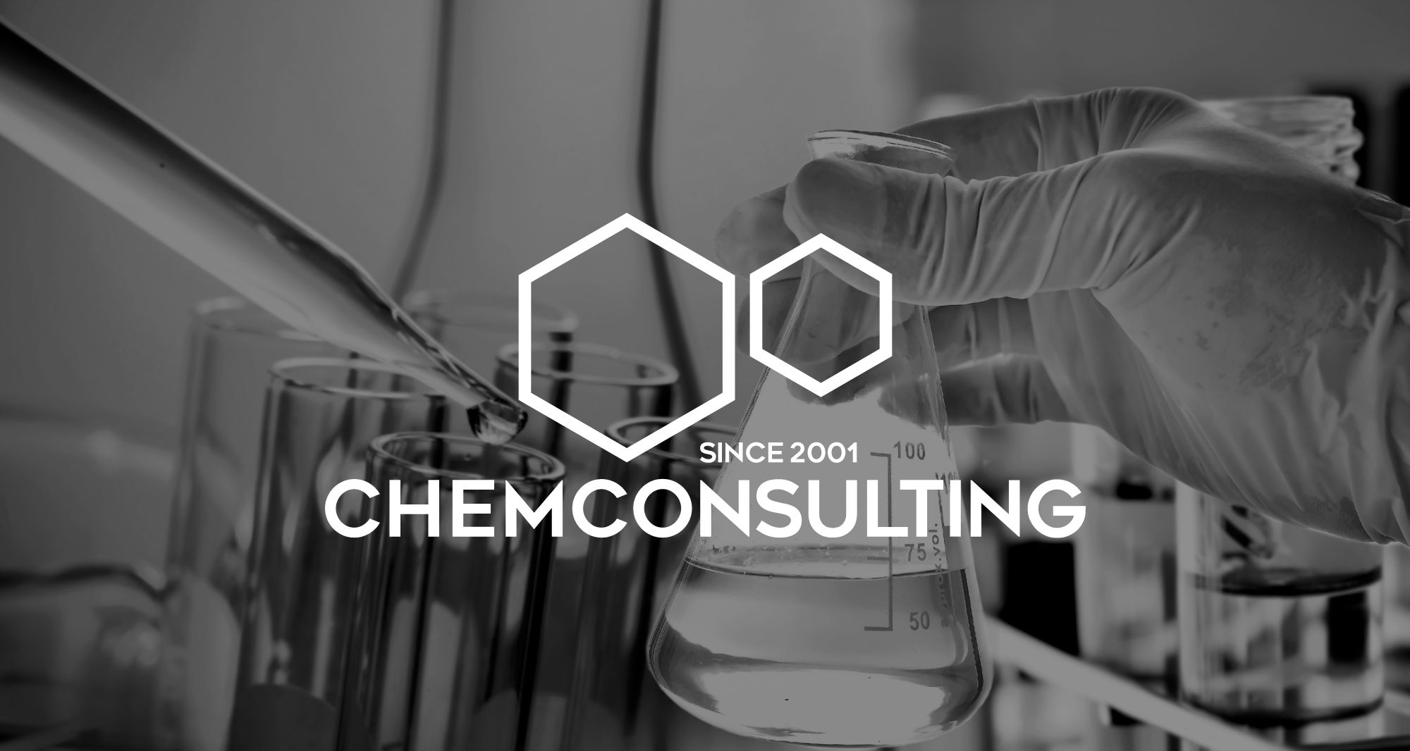 randomlab-progetti-chem-consulting-visual